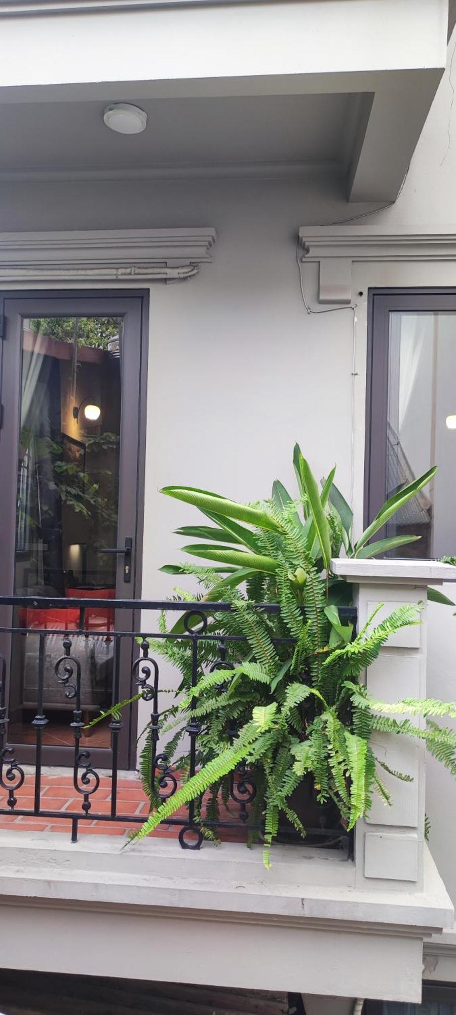 T Home Balcony Homestay هانوي المظهر الخارجي الصورة